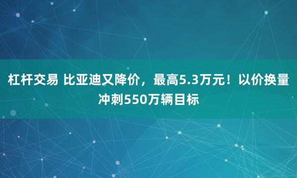 杠杆交易 比亚迪又降价，最高5.3万元！以价换量冲刺550万辆目标