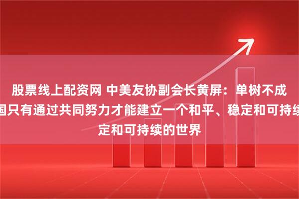 股票线上配资网 中美友协副会长黄屏：单树不成林，各国只有通过共同努力才能建立一个和平、稳定和可持续的世界